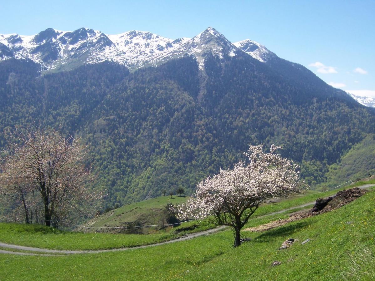 Tuc Blanc Hotel Baqueira Beret Bagian luar foto